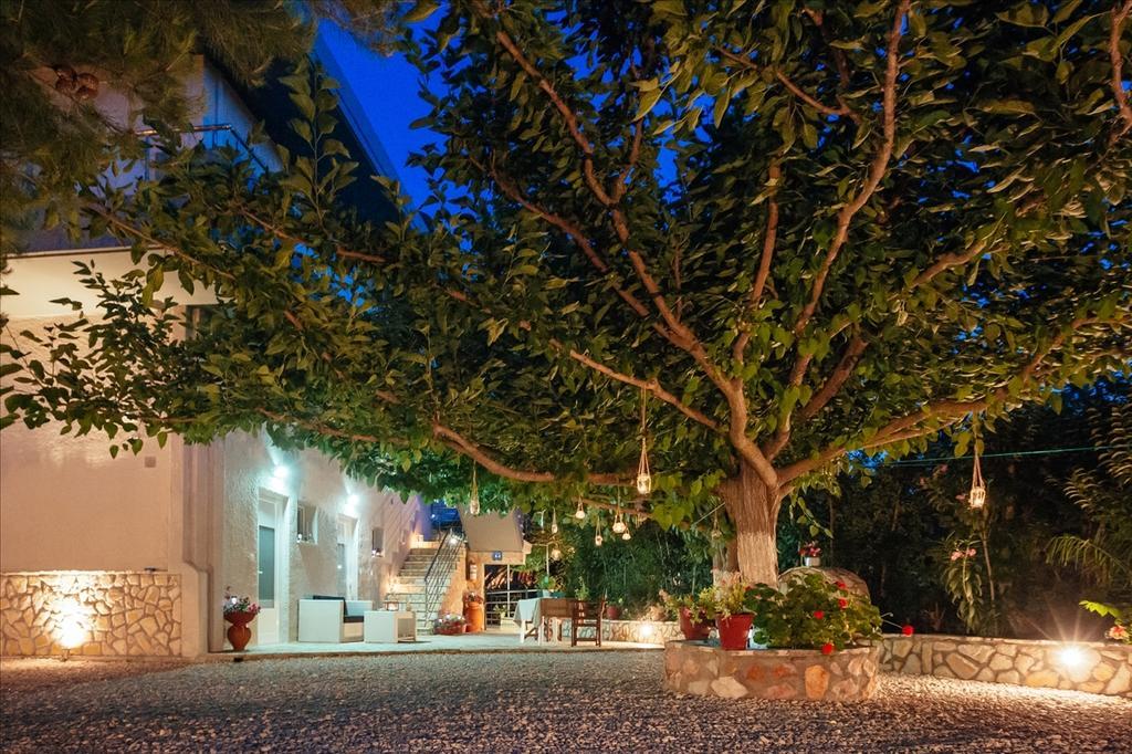 Dimitra Apartments Kandia Exterior photo